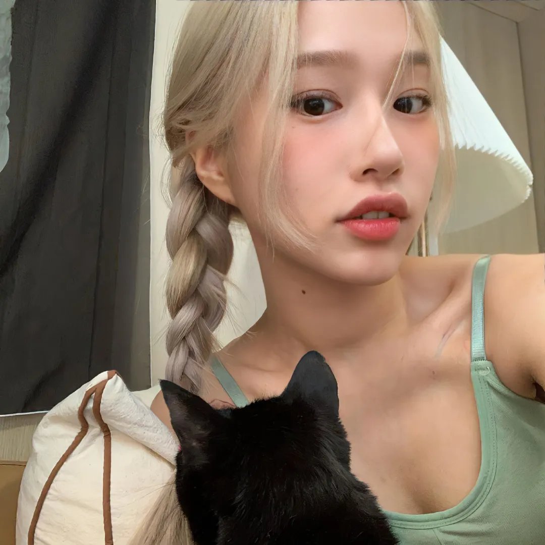 长翅膀的猪