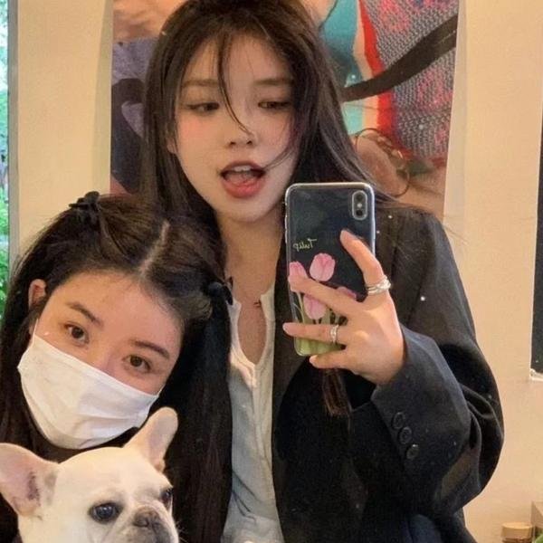 伊普克雷斯档案 2026